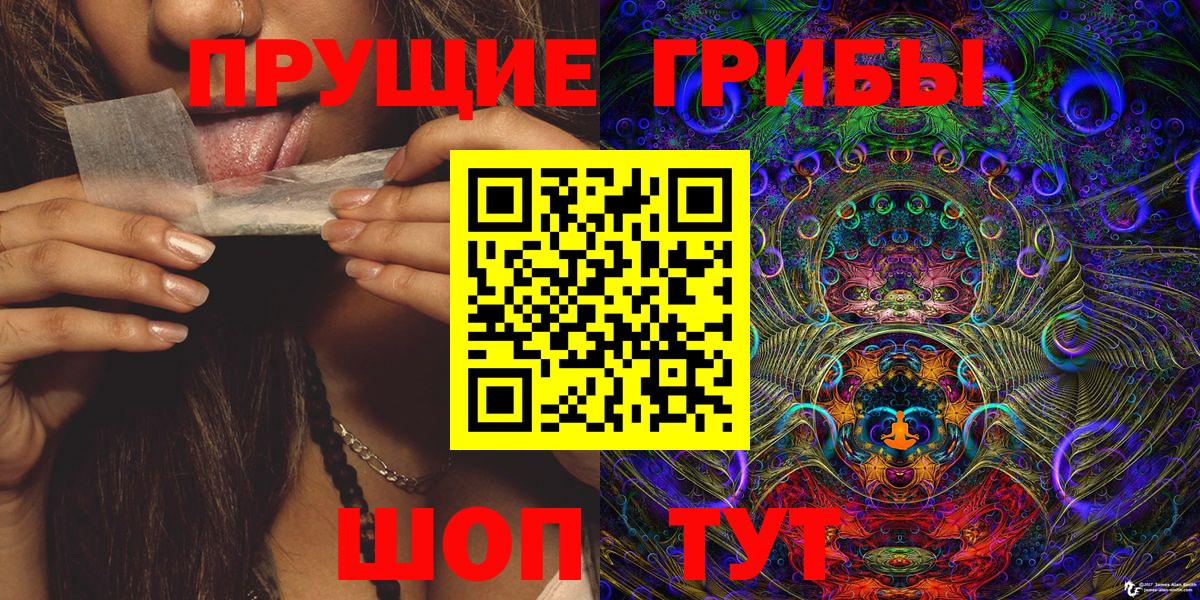 Псилоцибиновые грибы мицелий Заволжье