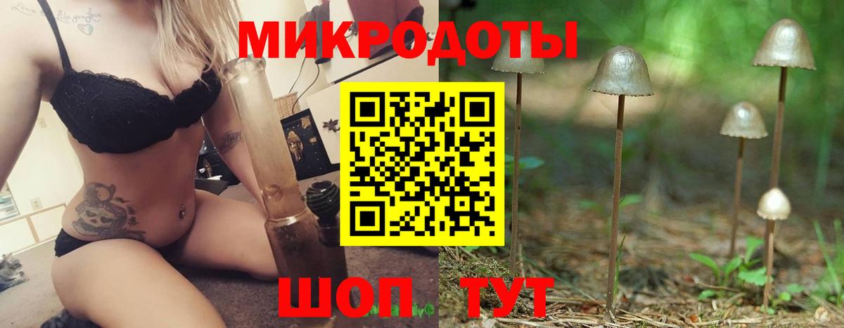 Заволжье  Галлюциногенные грибы мицелий  Вход с VPN 